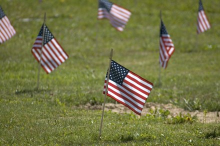 © David Coleman | Dreamstime.com